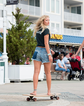 assateague3 (83)