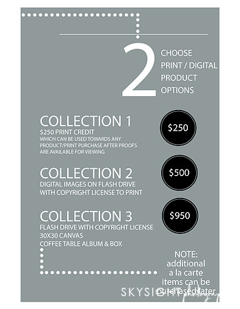 session fees (6)