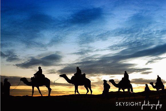SKY_1445 copy