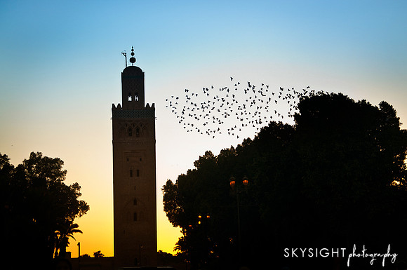 SKY_9477
