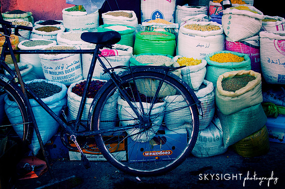 SSP_0958