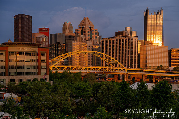 DSC_2483