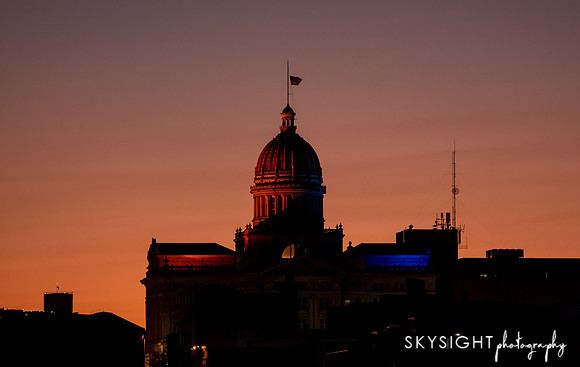 P1333225