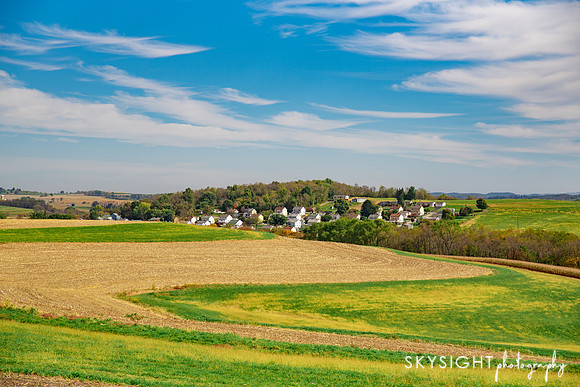 DSC_4639