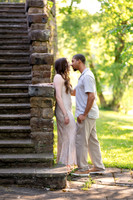 collechia_0101