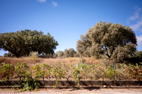 Evora_0016