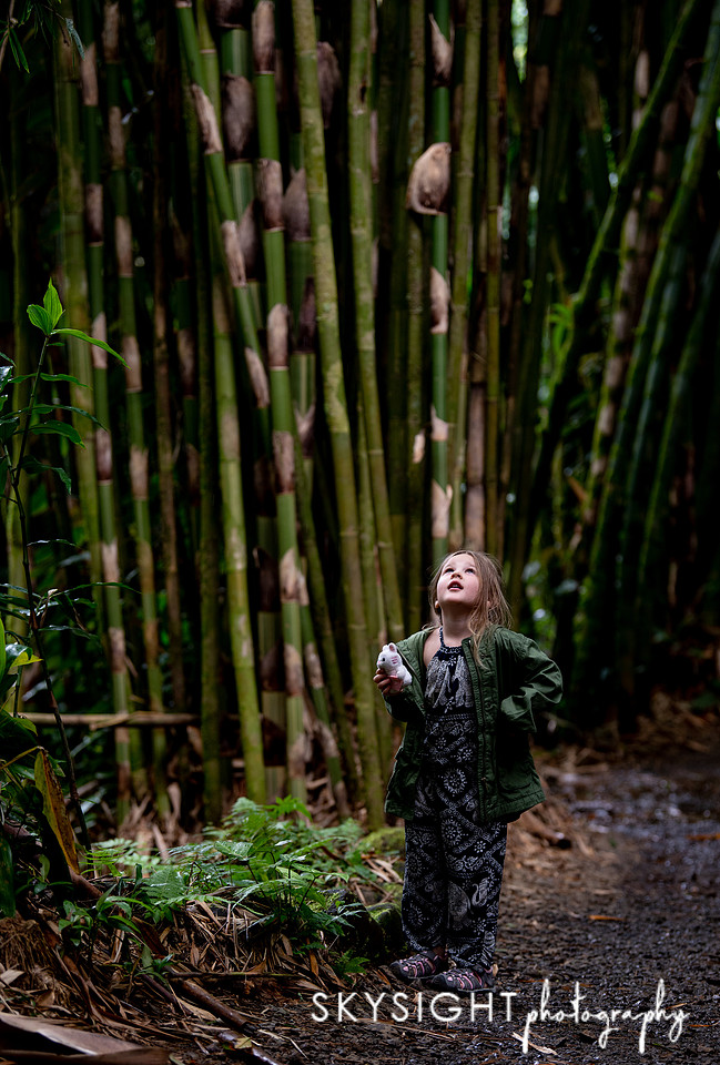 garden of eden