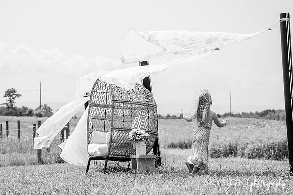 DSC_7782-2