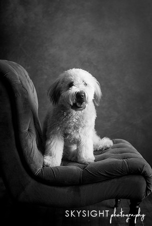 bucklin_001