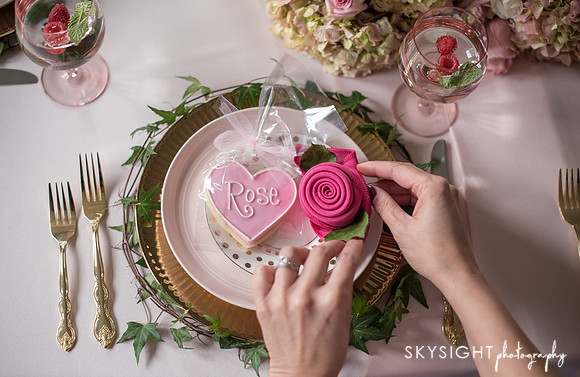 roseangel_feb2017_043