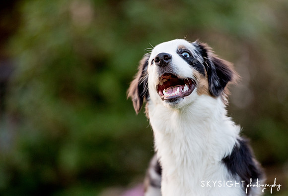 SKY_8297