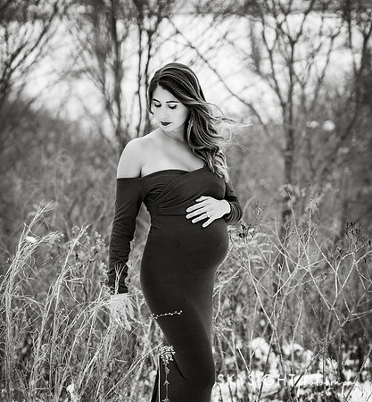 DSC_8828-Edit-4