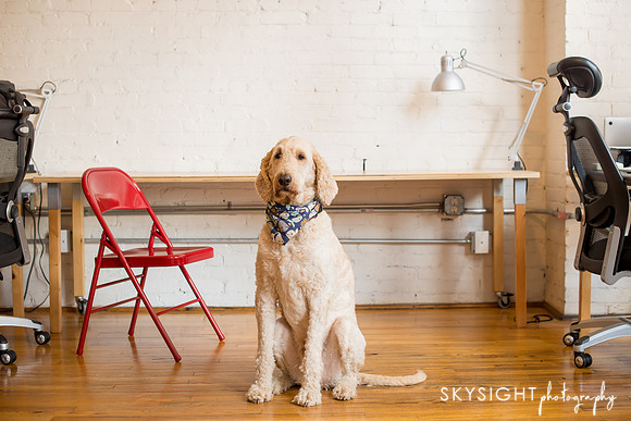 www.skysightphotography.com