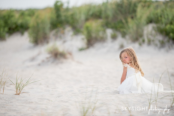 assateague2- (280)