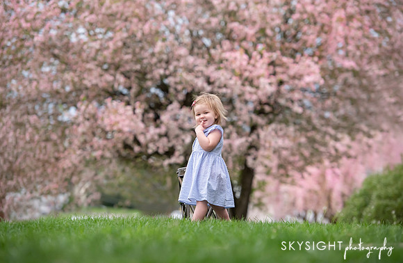 SKY_4753-Edit