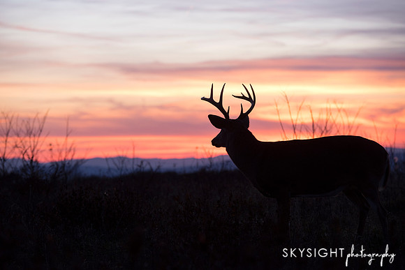 DSC_6795_edit1