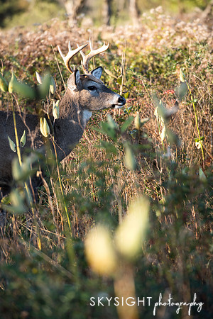 DSC_1819_edit