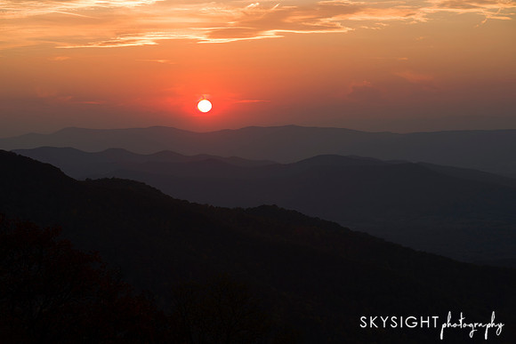 DSC_8310_edit