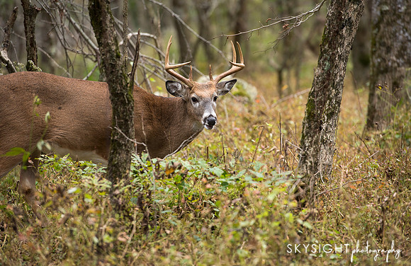 DSC_1749_edit