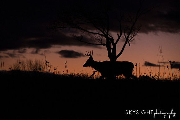 DSC_6674_edit1