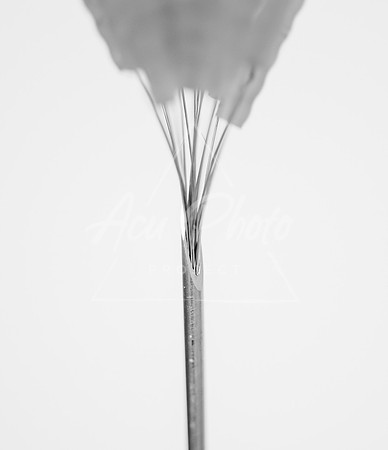 SKY_7558-4