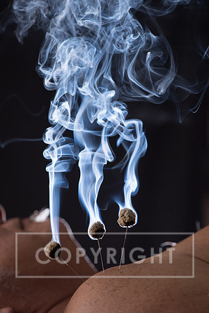 DSC_6569-2