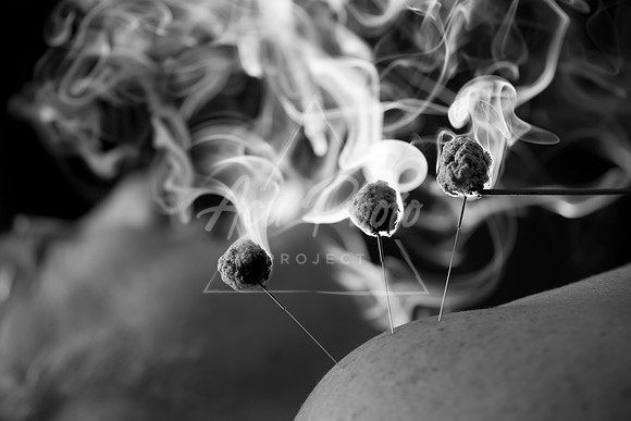 DSC_6562_1