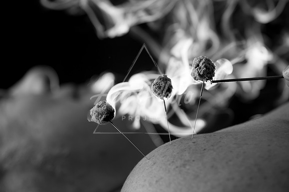 DSC_6558_1