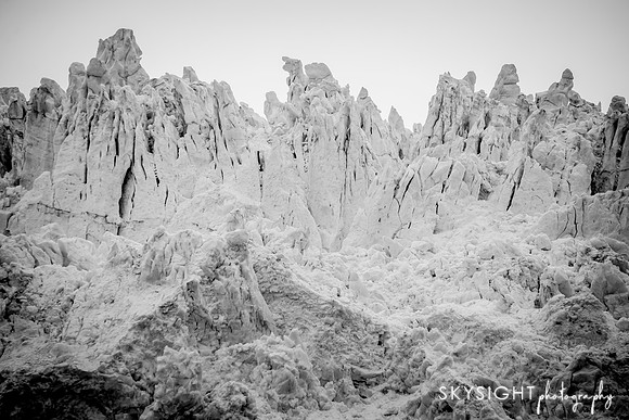 DSC_4708_1