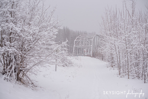 SKY_1619