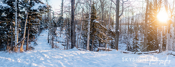 SKY_1690-Pano