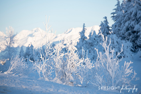 SKY_3366