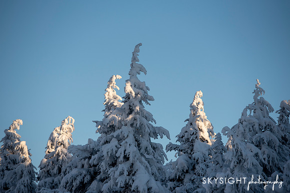 SKY_3378