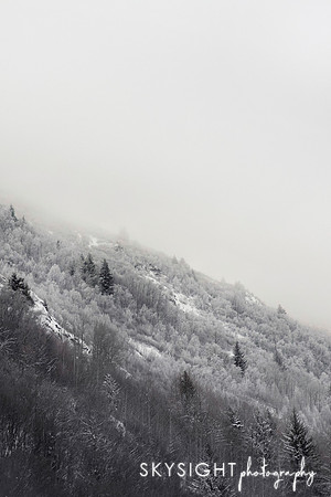SKY_3031bv