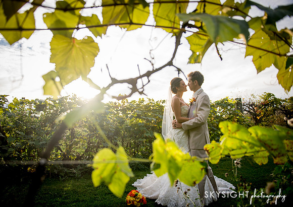 www.skysightphotography.com