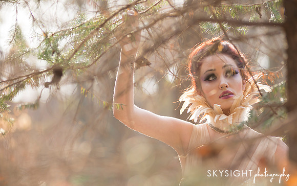 www.skysightphotography.com