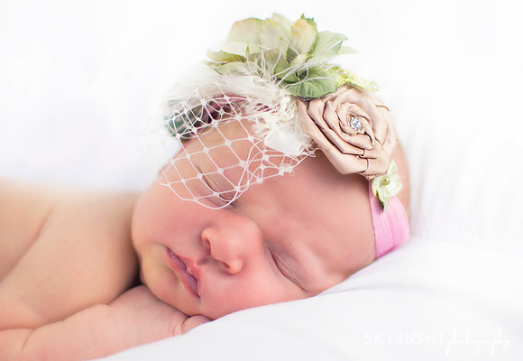 www.skysightphotography.com