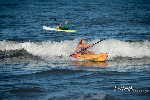 assateague3 (5)