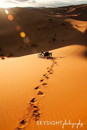 d sahara (17)