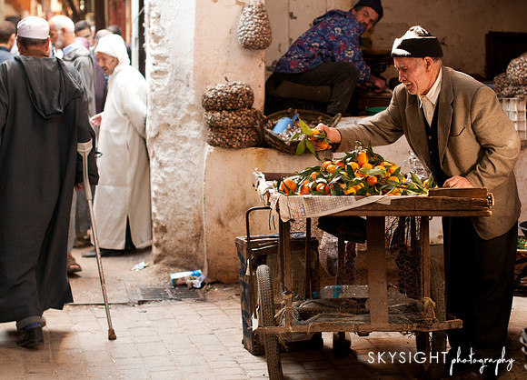 fez (3)