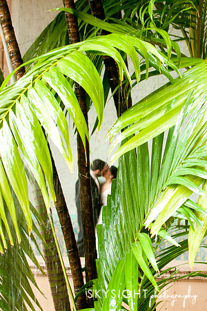 www.skysightphotography.com