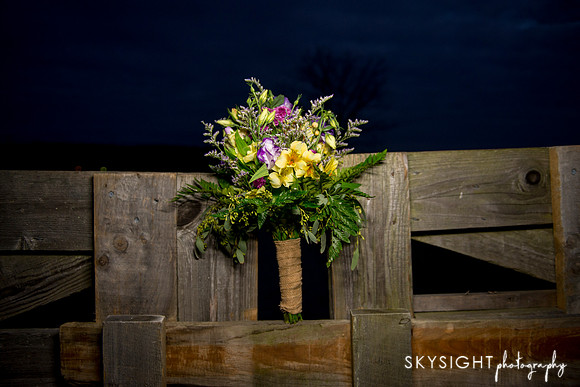 www.skysightphotography.com