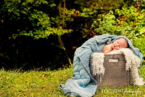 www.skysightphotography.com