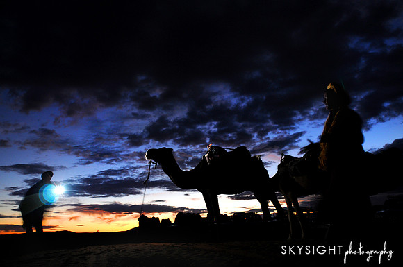 SKY_1526