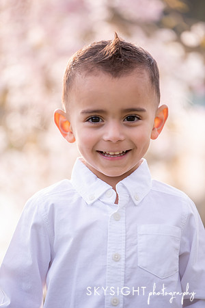 ARIAS_083