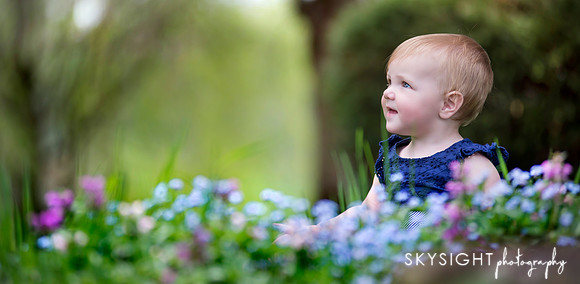 www.skysightphotography.com