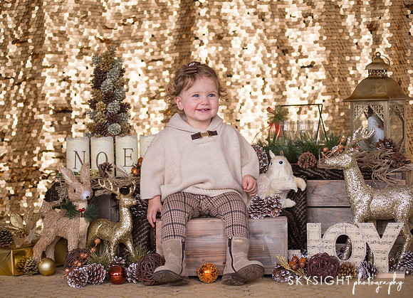 www.skysightphotography.com