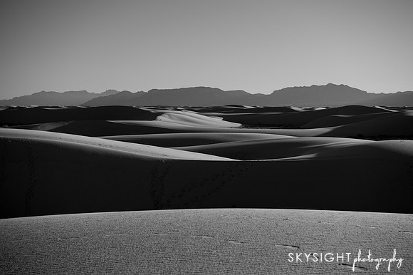 DSC_2727